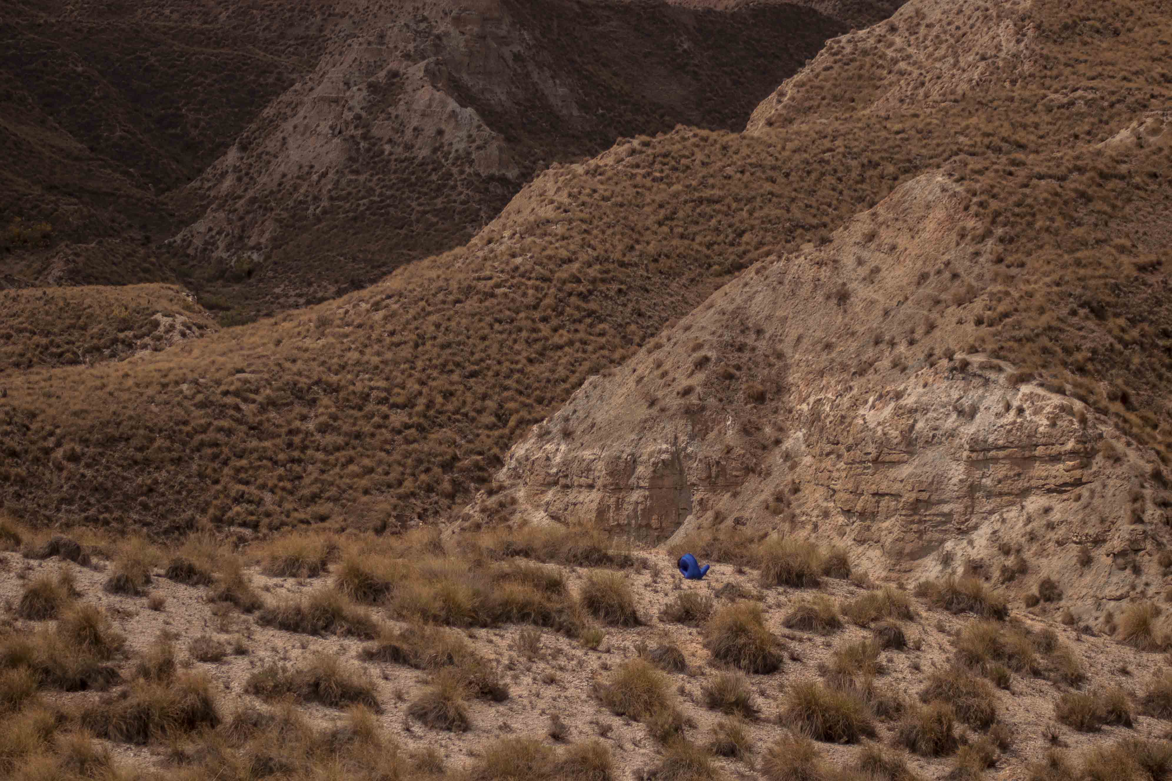 Desert Poem Image