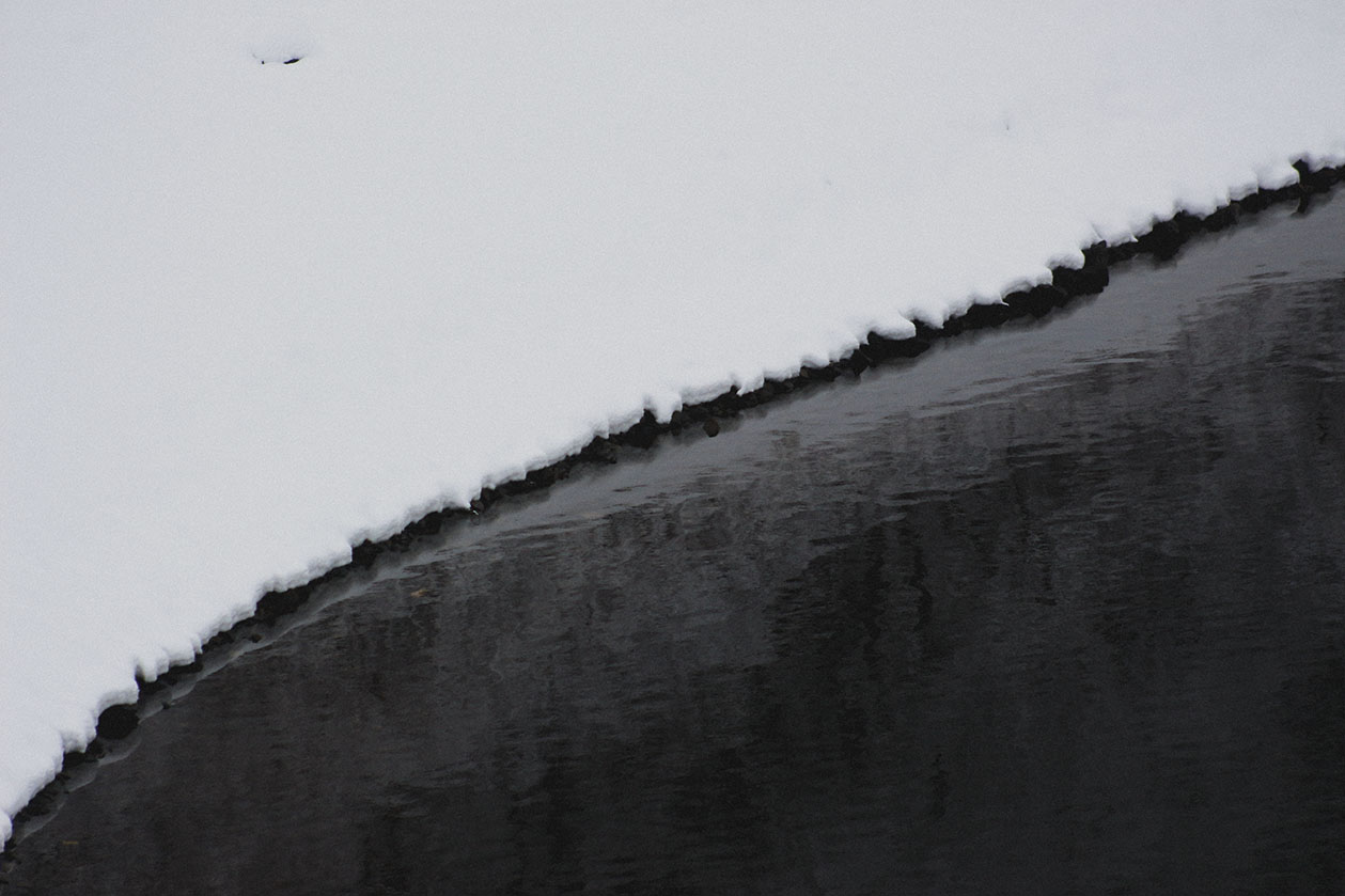 snow image 3